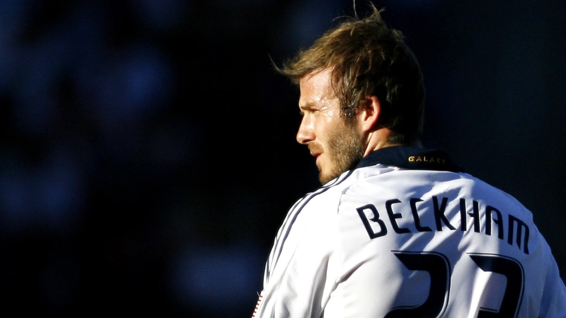 Team Liquid品牌重塑升级，team apparel品牌